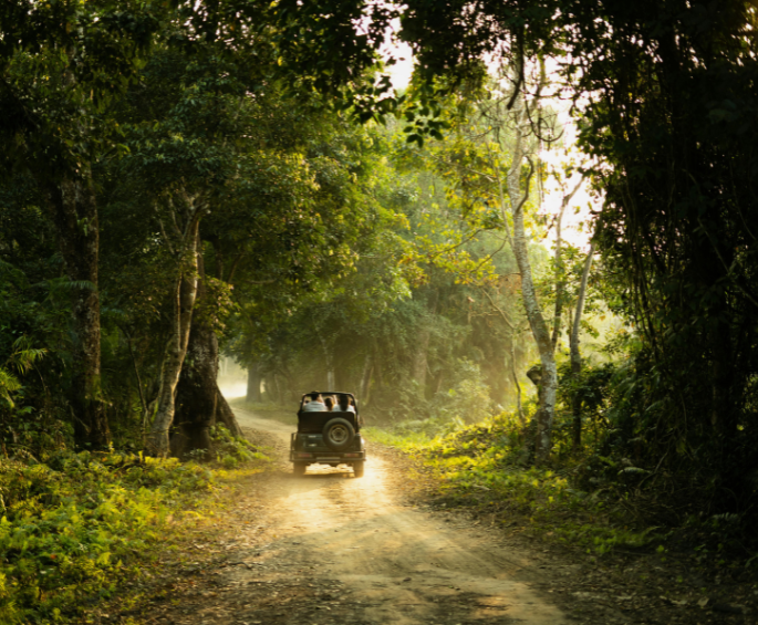 Best Villa Resort in Ranakpur - The Stay Ranakpur